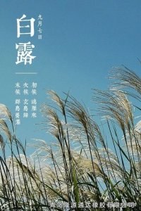 <b>露從今夜白，夜自此日涼！</b>
